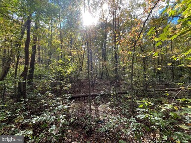 0 Marsh Rd unit VAFQ2019648, Goldvein, VA 22720 - photo 3