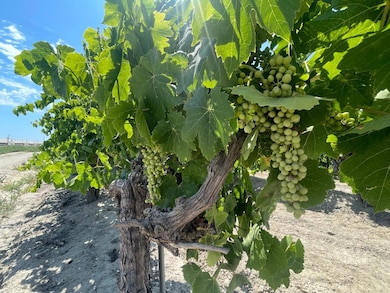 1 S Plumas Ave, Kerman, CA 93630 - photo 2