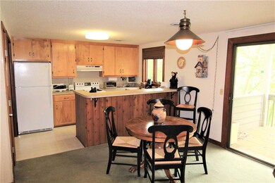 441 Three Ridges, Wintergreen Resort, VA 22967 - photo 5