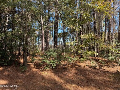 254 Falling Creek Ln, Goldsboro, NC 27530 - photo 2