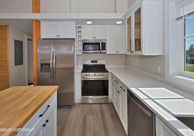 210 Ohlson Ln unit 9, Homer, AK 99603 - photo 3