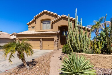 Desert Front Landscaping