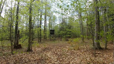 Tree stand just off one of the trails.