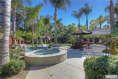 Entertainers' Backyard with Pool, Spa and Built-in