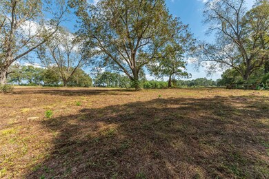 5.65 Acre Prescott Rd, Florala, AL 36442 - photo 5