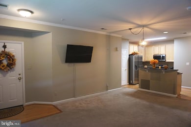 1670 Mohegan Dr unit A, Havre de Grace, MD 21078 - photo 6