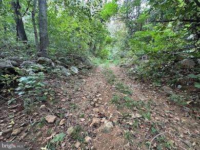 0 Blue Ridge Mountain Rd unit VALO2105128, Paris, VA 20130 - photo 6