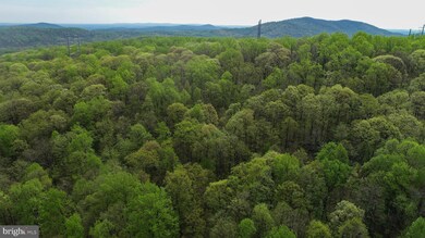 Lot 24 Mosby Springs Rd, Linden, VA 22642 - photo 3