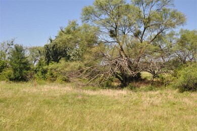 TBD Hereford Ln, Millsap, TX 76066 - photo 6