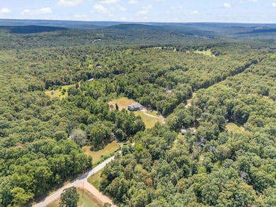 476 Jimmy Mitchell Rd, Mountain View, AR 72560 - photo 5