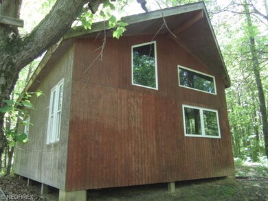 Back of cabin overlooking AEP hunting land.