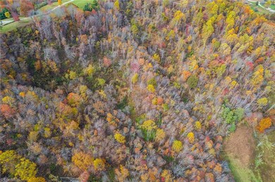 TBD 3 Mayito Ln, Mouth of Wilson, VA 24363 - photo 5