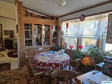 66 Flurry Ln, Silver City, NM 88061 - photo 2