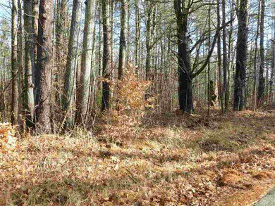 38 Peacham Rd, Center Barnstead, NH 03225 - photo 2