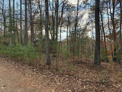 Lot 99 Acella Ct, Ellijay, GA 30540 - photo 6