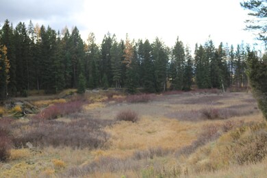 820 Prairie View Rd, Kalispell, MT 59901 - photo 4