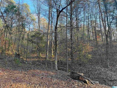 7595 McCombs Mill Rd, Pinson, AL 35126 - photo 5