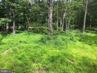 LOT 42, 43 Eagles Nest Ln, Harpers Ferry, WV 25425 - photo 4