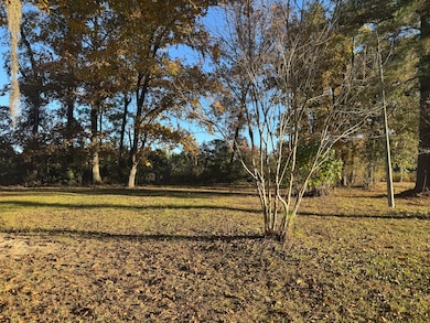 201 Creek Rd, Reevesville, SC 29471 - photo 3