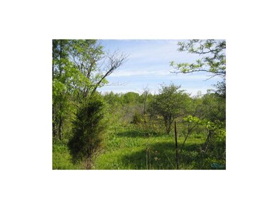 Land/Lot.