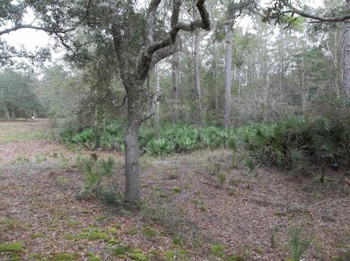 3035 Ten Rod Rd, Middleburg, FL 32068 - photo 2