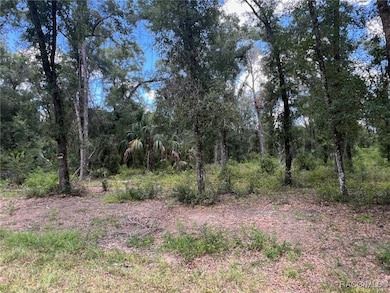 1628 E Derby Dr, Dunnellon, FL 34434 - photo 3