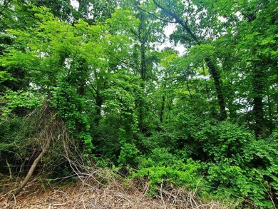 Lot view 2