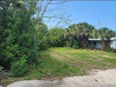 lawn and neighboring home