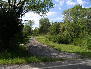 0 Verona Caney Rd unit 1632993, Chapel Hill, TN 37034 - photo 3