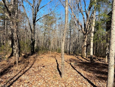 0 Osborn Mill Rd, Asheboro, NC 27205 - photo 7