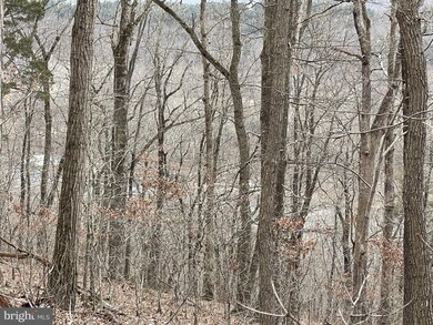 0 River View Rd unit VAPA105930, Rileyville, VA 22650 - photo 5