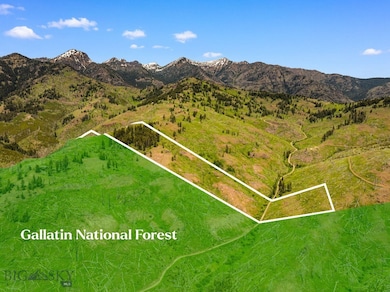 NHN Peak Point Dr unit Lot 1, Livingston, MT 59047 - photo 4