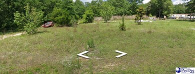 3400 Confederate St, Dovesville, SC 29540 - photo 2