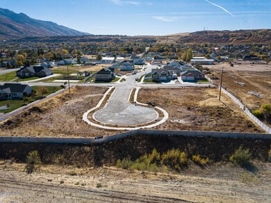 DJI_0020