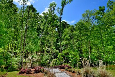 Morgan Woods