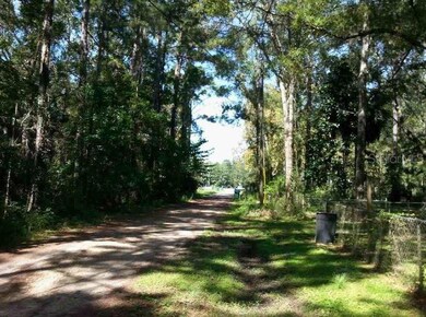 38 Helena St, Crawfordville, FL 32327 - photo 2