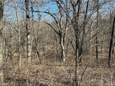 LOTS 3155,3156,3101 Rolfs Place, Union Township, MO 65326 - photo 4