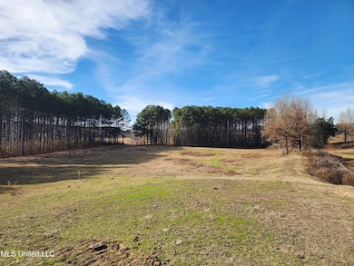 0 Steward Rd unit 4133694, Senatobia, MS 38668 - photo 3