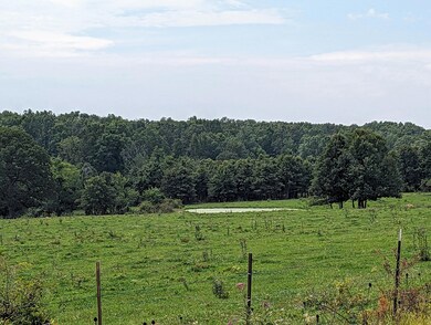 21 acre m/l tract