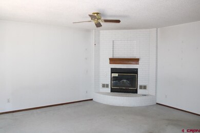 575 NE 4th St, Cedaredge, CO 81413 - photo 5