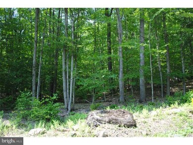 95 Lake Shore Dr, Pocono Lake, PA 18347 - photo 3