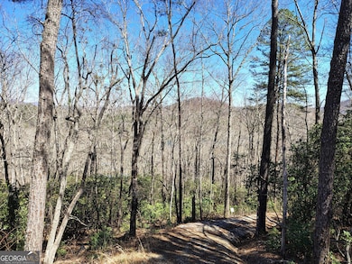 0 Ivy Ridge Way unit LOT 50 10487398, Clarkesville, GA 30523 - photo 3