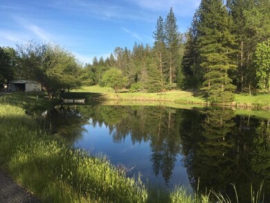 ponds