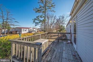 25950 S Maple St, Millsboro, DE 19966 - photo 4