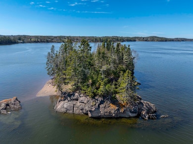 Little Doucet Island Robbinston (7 of 15