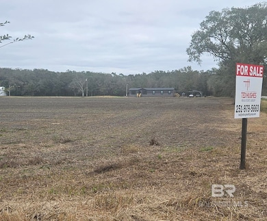 23111 Harden Ln, Summerdale, AL 36580 - photo 2