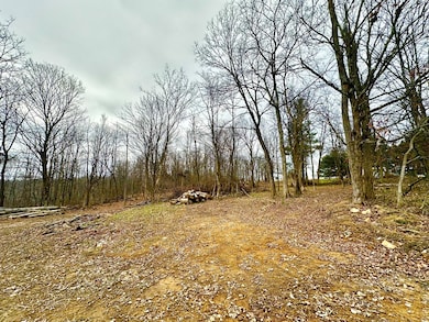 0 Potts Hill Rd unit 198948, Bainbridge, OH 45612 - photo 2