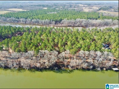 650 & 651 Liberty Shores Blvd unit Lot 9C, Vincent, AL 35178 - photo 7