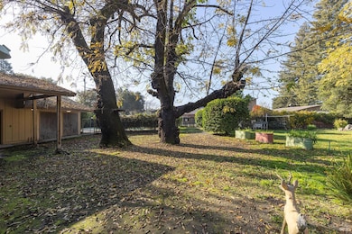 101 Bailhache Ave, Healdsburg, CA 95448 - photo 7