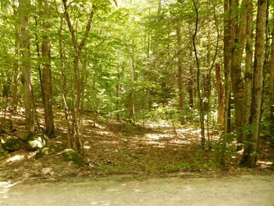 711 Webster Mills Rd, Pittsfield, NH 03263 - photo 6